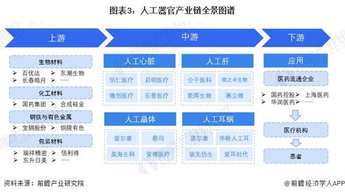 预见2024 中国人工器官行业全景图谱——市场现状、竞争格局与发展趋势洞察